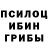 Галлюциногенные грибы Psilocybine cubensis Svetlana Kuzmicheva