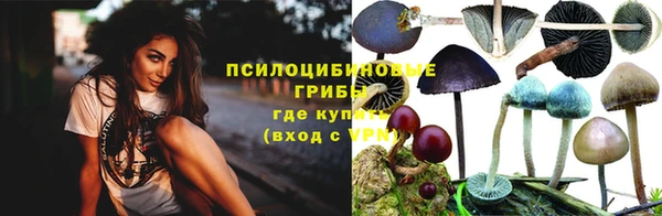 ПСИЛОЦИБИНОВЫЕ ГРИБЫ Остров