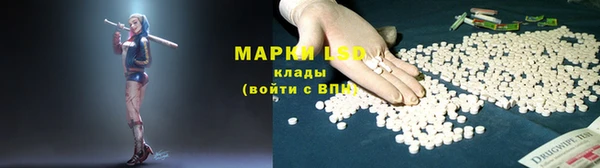мдпв Осинники