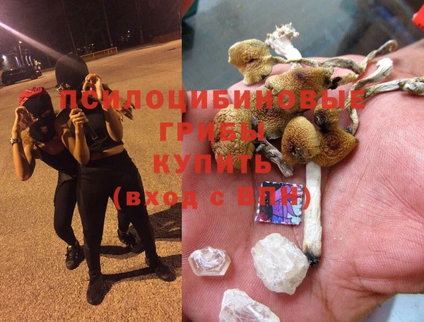 ПСИЛОЦИБИНОВЫЕ ГРИБЫ Остров