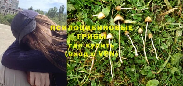 ПСИЛОЦИБИНОВЫЕ ГРИБЫ Остров