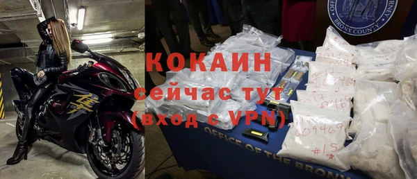 стаф Пестово